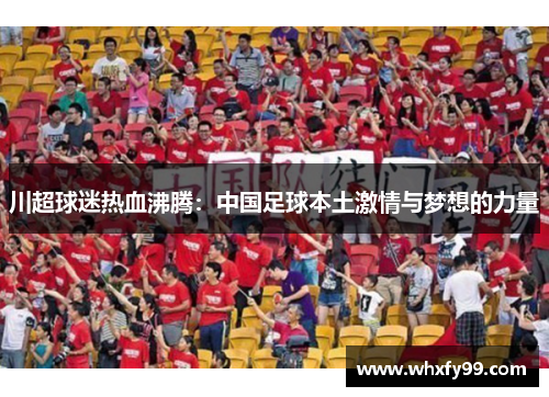 川超球迷热血沸腾：中国足球本土激情与梦想的力量